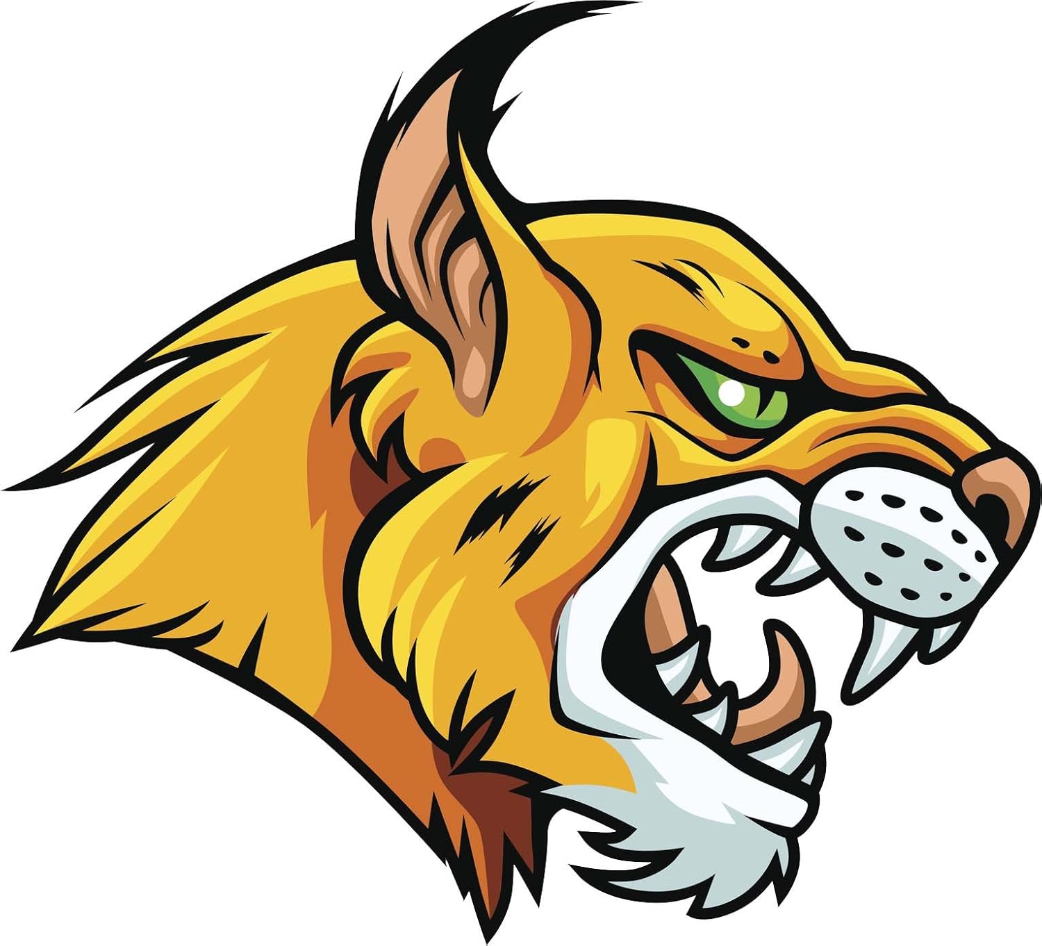 Wild Cat Cartoon : The best gifs are on giphy. - Vainglory Wallpaper