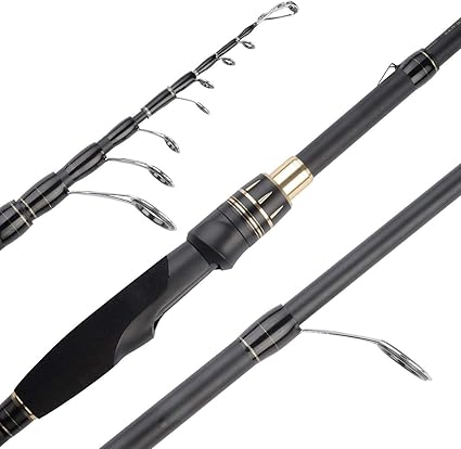 saltwater fishing rods amazon