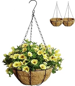 Hanging Baskets for Plants, Flower Pots with Coco Liners for Planters, Balcony Plant Holder with Metal Decorative Chain, 8" Round Wire Garden Basket Indoor/Outdoor-2pcs (S)