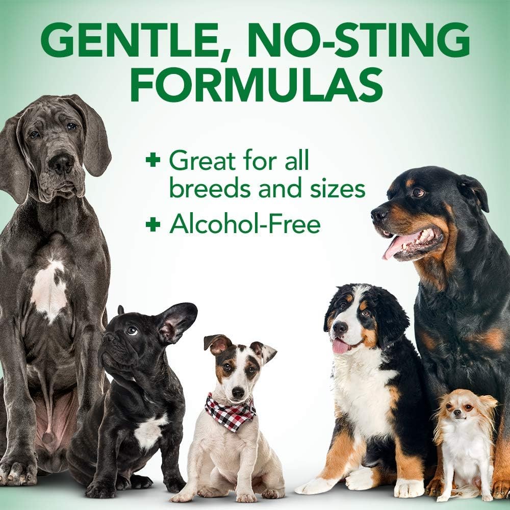Vet's Best Dog Ear Cleaner Kit | Multi-Symptom Ear Relief | Wash & Dry Treatment | Alcohol-free : Pet Ear Care Supplies : Pet Supplies