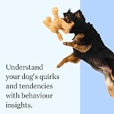 Wisdom Panel Essential Dog DNA Test Kit for Breed, Health & Traits view 8