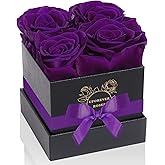 UFOREVER ROSES 4-Piece Preserved Roses in a Box, Preserved Flowers, Roses Gift for Her, Purple