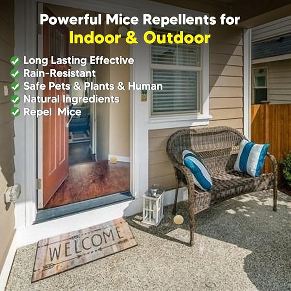 RODENT REPELLENT, MOUSE REPELLENTS OUTDOOR, NATURAL MICE REPELLENT INDOOR,PEPPERMINT OIL TO REPEL MICE AND RATS, KEEP MICE AWAY, RAT REPELLENT FOR HOUSE,RAT DETERRENT INDOOR,GET RID OF MICE-8P