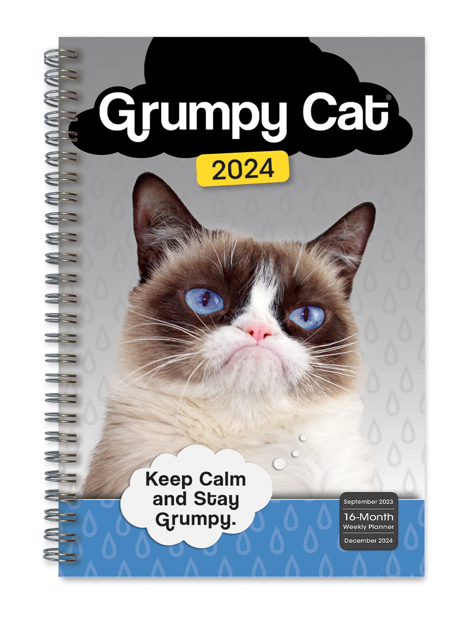 Grumpy Cat