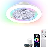 KAMLAM 24" Low Profile RGB Ceiling Fans with