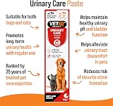 VETIQ Urinary Care Paste Supplement Cranberry 100 g for Dogs & Cats view 2