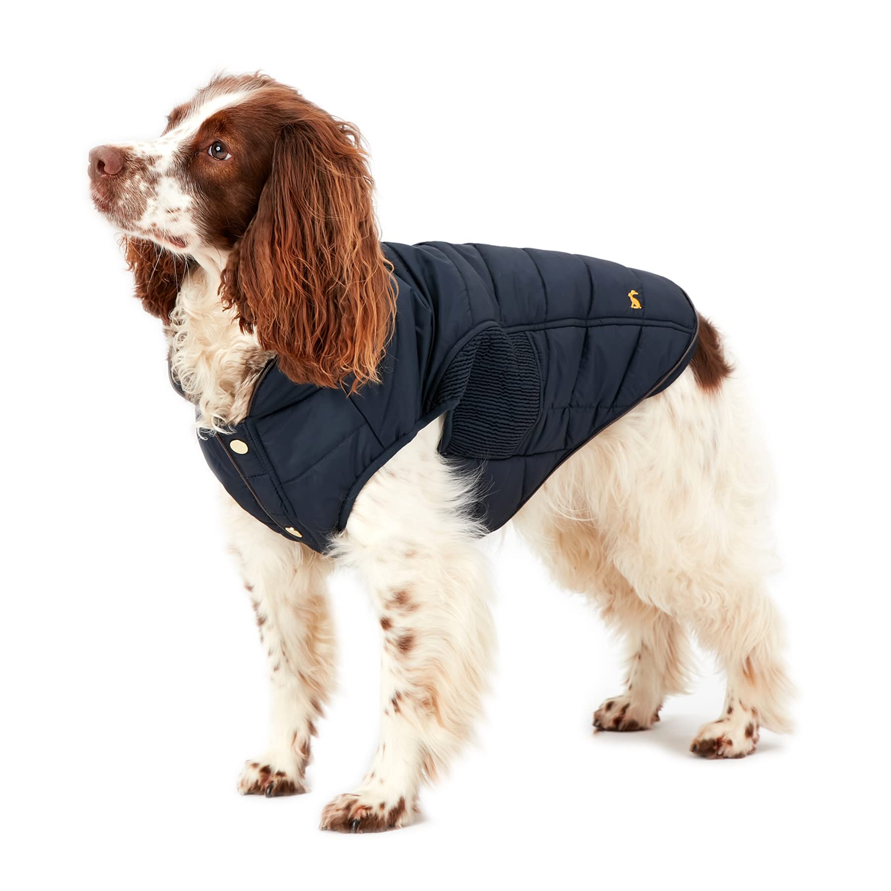 Rosewood x Joules Cherington Coat for Dogs, Small, Washable, Lightweight Jacket, Water-Resistant Dog Coat for Small Dogs