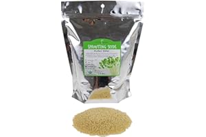 HANDY PANTRY Organic Hulled (Husk Removed) Millet Seeds: 2.5 Lb - Non-GMO Cereal Grain - Make Millet Beer, Grind Millet Flour, Cereal, Bird Seed, Emergency Food Storage