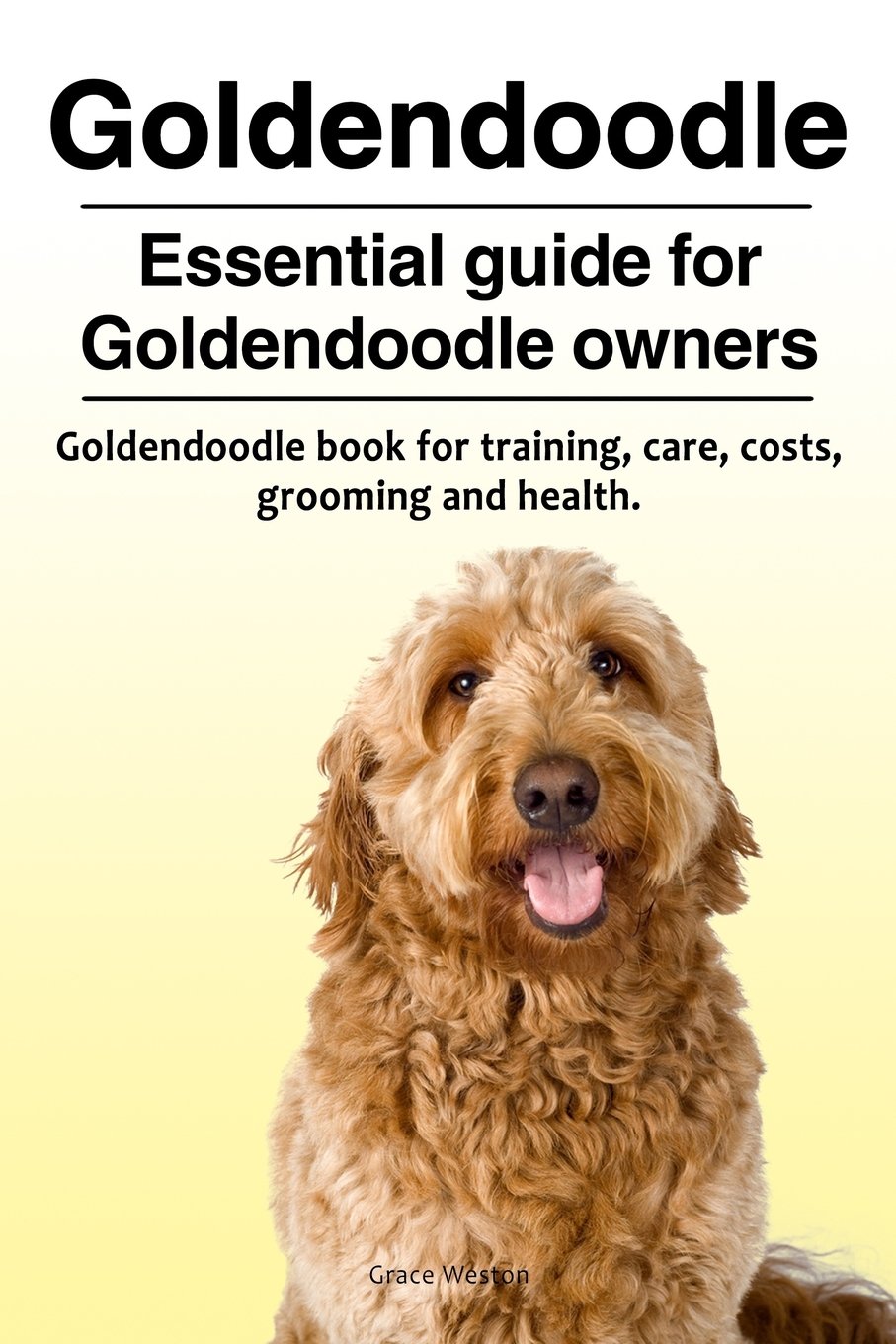 training a goldendoodle