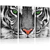 KREATIVE ARTS Large 3 Pieces Canvas Prints Wall Art Green Eyed Tiger Poster Printed On Canvas Animal Pictures Painting Giclee Artwork Framed For Office Home Decorations 16x32inchx3pcs
