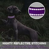 ATETEO Reflective Padded Dog Collar Medium 13-19.7 in Purple view 5