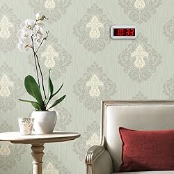 Timegyro Digital Alarm Clock Battery Operated with