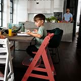 hauck Alpha+ Cork Wooden High Chair Beech 6m-90kg 5-Point Strap view 2