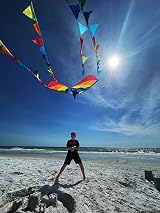 HONBO Large Delta Kite 54x31 Inch with 2x13ft Tails Handheld Line view 4