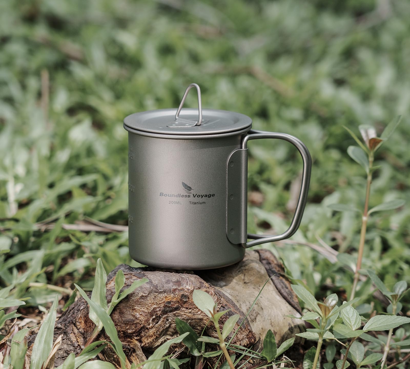 View 8