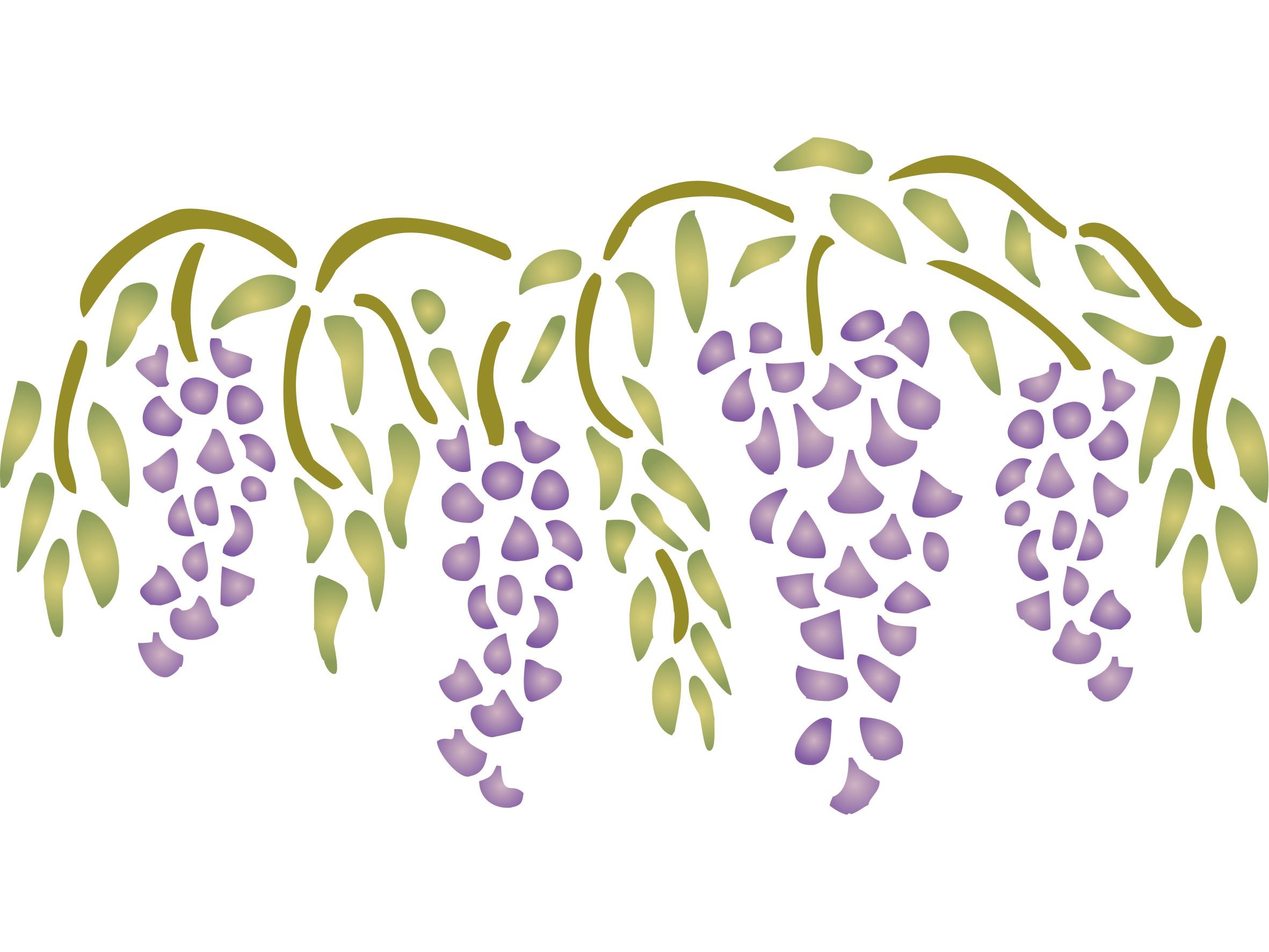 Wisteria Stencil - 37 x 21.5cm - Reusable Flower Border Wall Stencil Template