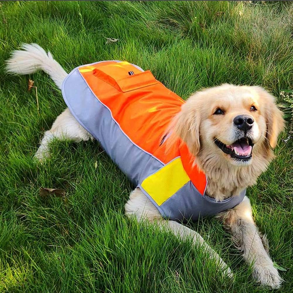 Clothes Dog Spring Dogs Your to Fits Size JacketSix Sport