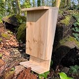 Selections Wooden Bat House Roosting Box with Landing Perch & Grooved Interior view 8