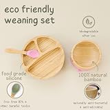 Bubba Bear Baby Bamboo Weaning Set Plates Bowls Spoons with Suction Base view 3