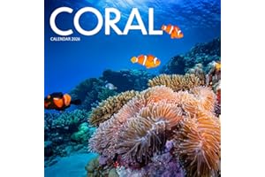Coral 2026 Calendar: Underwater Reefs and Ocean Wonders