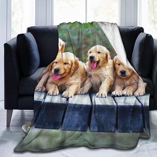 micro golden retriever