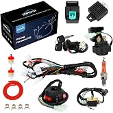 EOPOAYI Electric Wiring Harness for Taotao Coolster 110cc 125cc Chinese ATV | Fit for Quad 4 Wheeler 4-Stroke Parts with Starter Solenoid Relay Ignition Coil Voltage Regulator CDI Box, Direct Replacement
