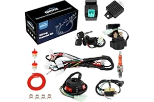 EOPOAYI Electric Wiring Harness Kit Compatible with Taotao Coolster 110cc 125cc Chinese ATV Quad 4 Wheeler 4-Stroke Parts with Starter Solenoid Relay Ignition Coil Voltage Regulator CDI Box Spark Plug