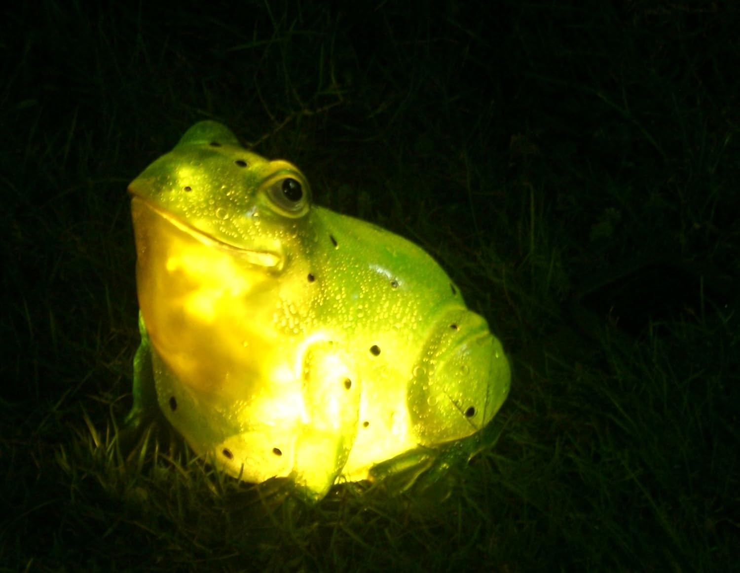 TIAAN 157807 Solar Powered Outdoor LED Light Garden Decor, Frog with