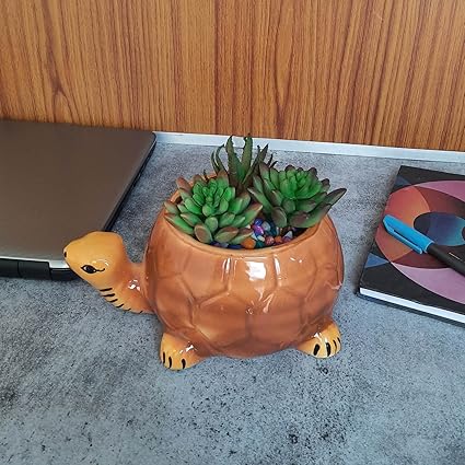 Sazao Ceramic pots Without Plant for Indoor Plant (Tortoise, Multicolor)