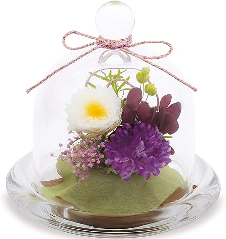 Amazon Lilys Epice リリスエピス プリザーブドフラワー 和風 ガラスドームアレンジ 母の日 敬老の日 誕生日 プレゼント 日本製 静 しずか Wp1pl プリザーブドフラワー オンライン通販 Amazon Lilys Epice リリスエピス プリザーブドフラワー 和風 ガラスドームアレンジ 母の日 敬老の日 誕生日 プレゼント 日本製 静 しずか Wp1pl プリザーブドフラワー オンライン通販
