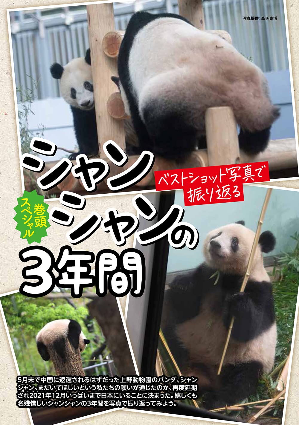 週パンダ大衆 双葉社スーパームック 本 通販 Amazon