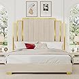YUMPIE King Size Platform Bed Frame with 65" Extra Tall Headboard, Velvet Upholstered Bed with Golden Plating Trim, Wooden Slats/No Box Spring Needed/Noisy Free/Cream