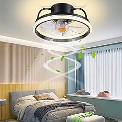 Asyko Ceiling Fans with Lights -Low Profile Modern