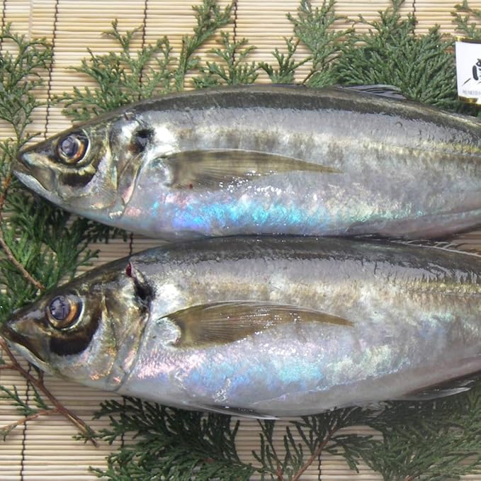 Amazon 送料無料 大分県漁業協同組合 佐賀関支店 鮮魚 関あじ ４００ｇ ２尾 ノーブランド品 生鮮魚介類 水産加工品 通販