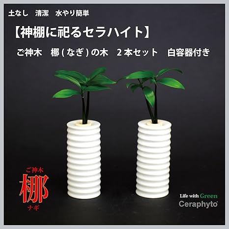 Amazon 神棚 仏壇お供え用植物 ナギの木 2個セット 白容器 栽培キット オンライン通販
