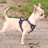 rabbitgoo Dog Harness Small No Pull Adjustable Reflective Pink XS view 9