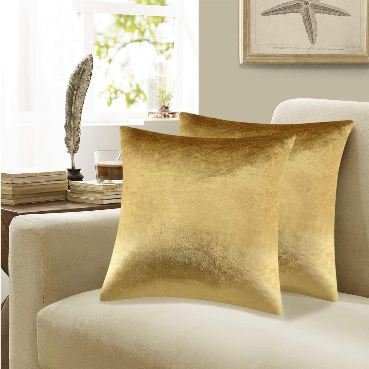 GIGIZAZA Gold Velvet Decorative Throw Pillow Covers,18x18 Pillow Covers for Couch Sofa Bed 2 Pack Soft Cushion Covers: Home & Kitchen