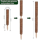 MABUSIYI Moss Pole 2-Pack 40CM Coir Moss Pole for Monstera Pothos Indoor view 3