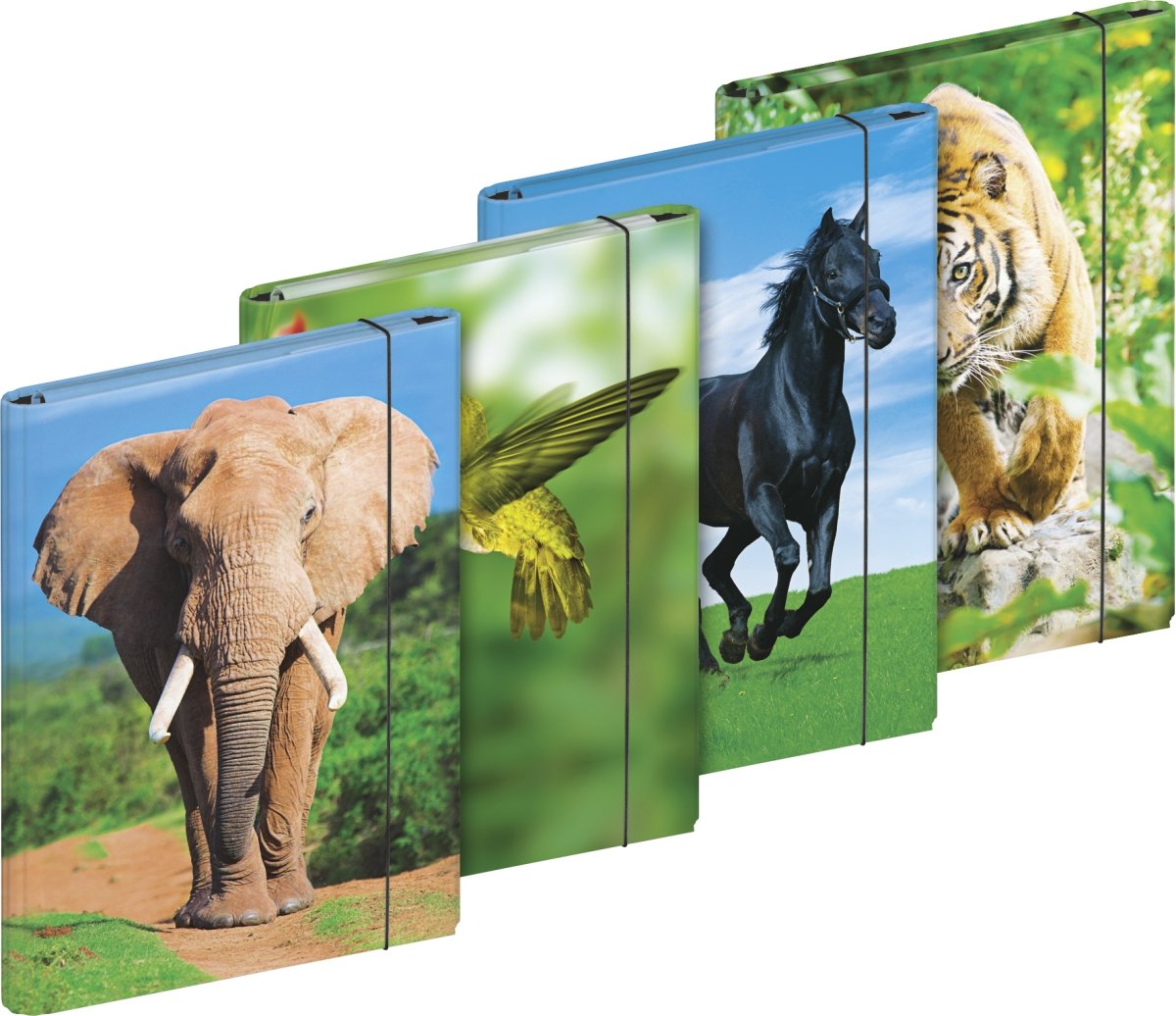 Schneider BAIER & Animal Box File, Card, 2.0 mm, A4, 253 x 339 mm 32 x 27 mm