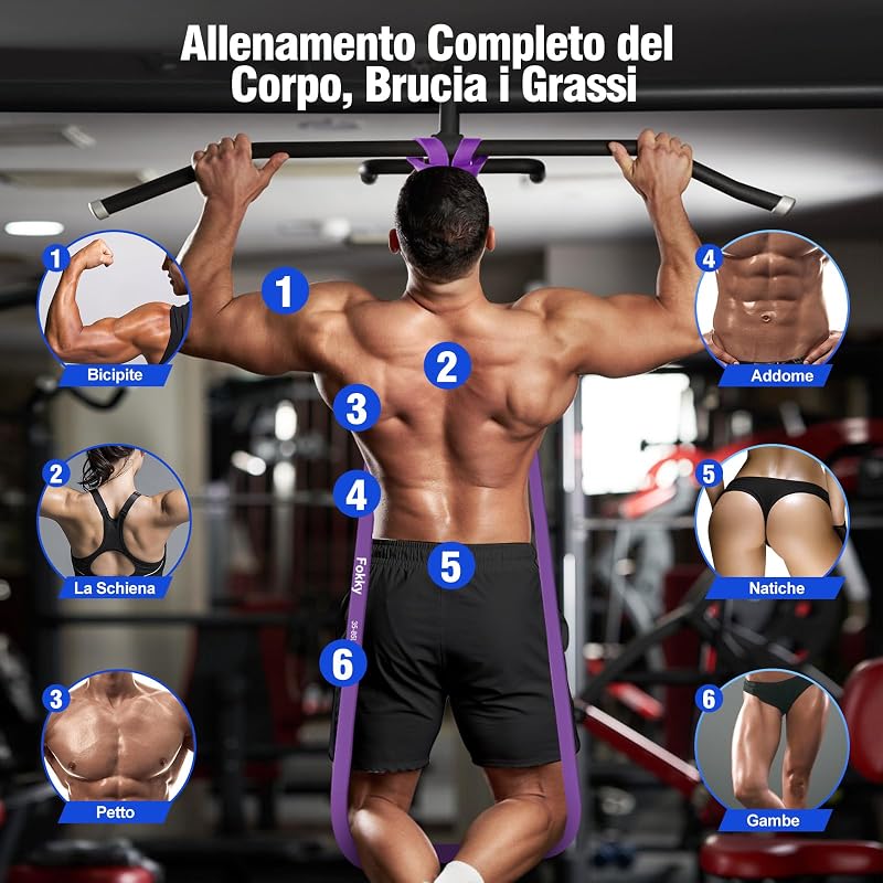 Elastici Fitness di 4 Livelli di Resistenza, 5-85 LBS