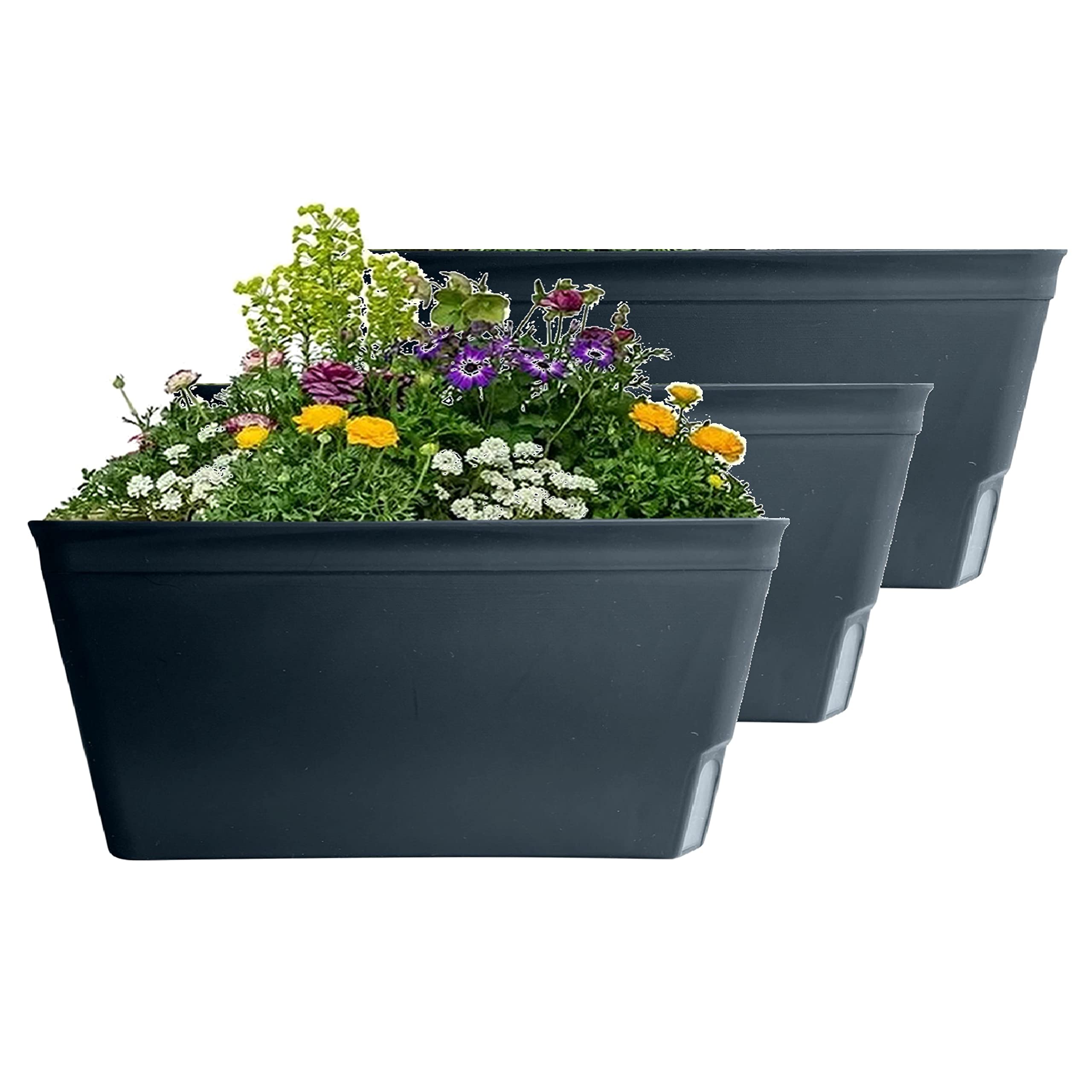 Olly & Rose Lazy Planters - Self Watering Planters - Pack of 3 - Matt Black Self Watering Plant Pots (Black)