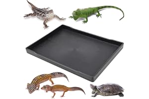 YOLUFER Reptile Food Water Bowl Plate Dish for Tortoise Crawl Pet Drinking and Eating Hallow Water Dish for Reptiles (Size3-L