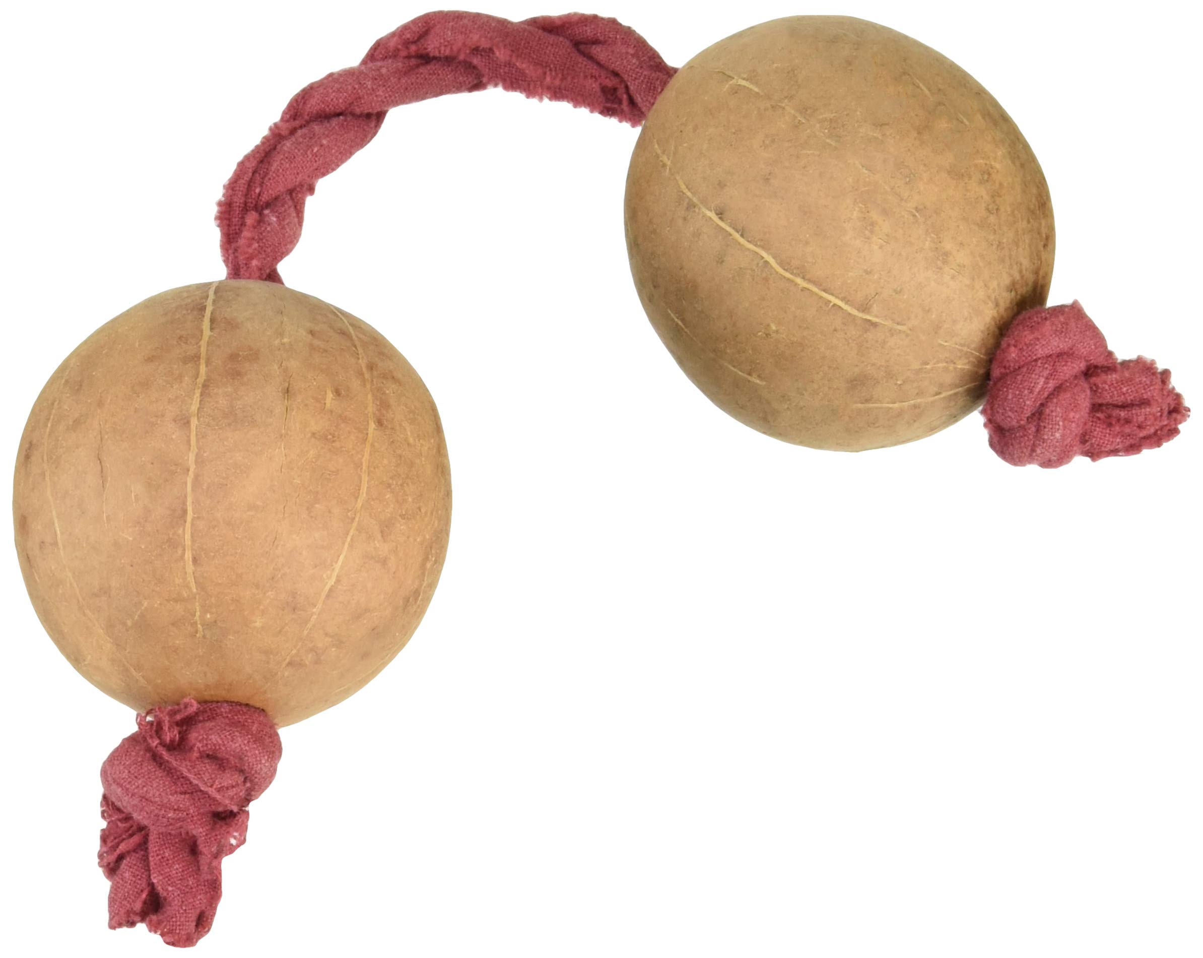 SOUND KING サウンドキング アサラト AS-756商品画像