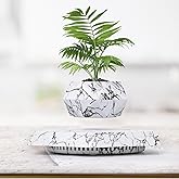 Leekimid Levitating Plant Pot, Magnetic Levitation Flower Pot Suspension Floating Plant Succulents, Air Bonsai Potted Plant f