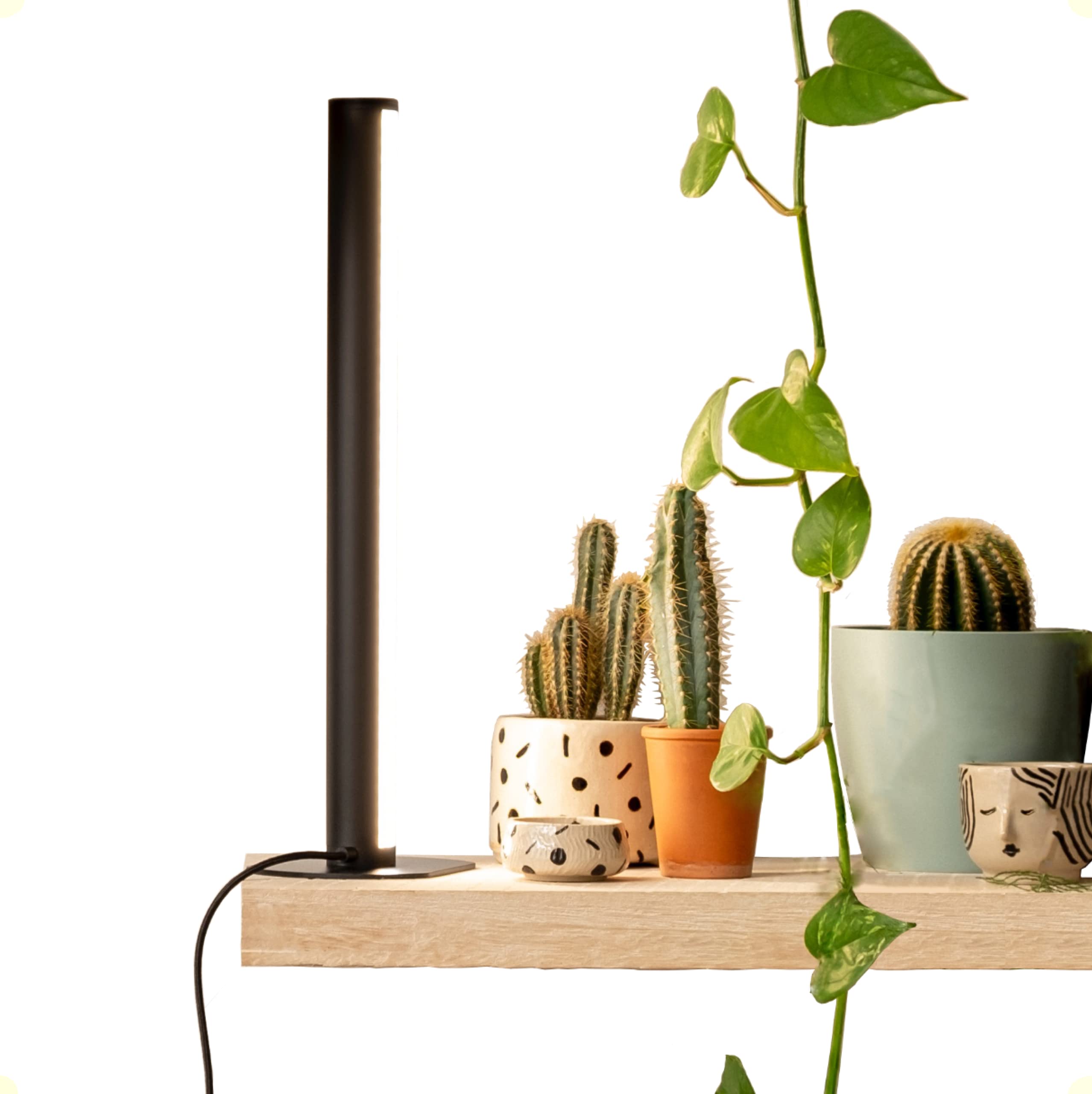 Mother PlantSpectrum16 Grow Light, Full Spectrum LED Plant Growing Lamp 16Watt for Indoor Plants