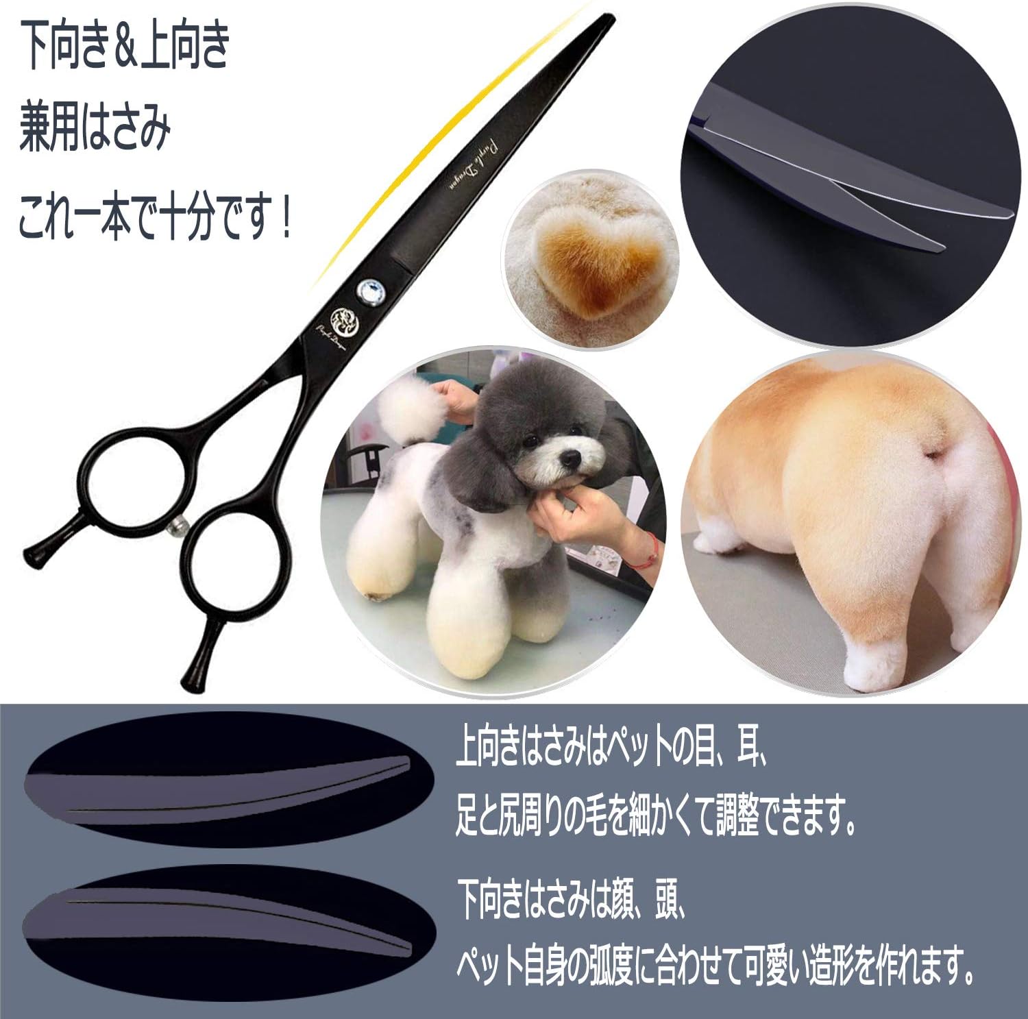 Amazon Purple Dragonトリミングハサミ犬猫 トリミングシザー ハサミセルフカットすきばさみ ペット用 すきバサミスキバサミ7インチ 日本製炭素鋼440c切れ味抜群 毛量調整 全身美容 ケース付き3点セット Purple Dragon トリミングシザー 通販