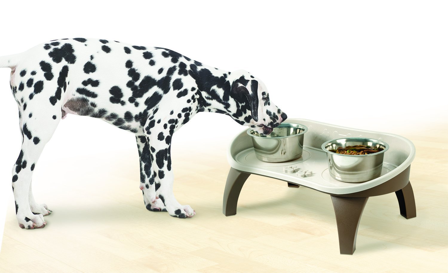 elevated dog bowls with splash guard