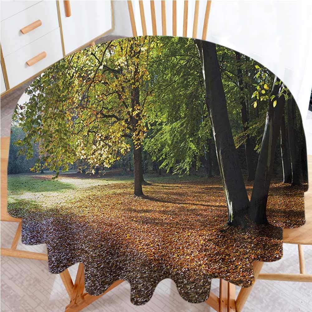 shirlyhome Nature Table Cloth for Picnic Tables Tranquil Tiergarten in Berlin Germany Forest Sightseeing Urban View Autumn Season Decorative Table Desk Cover Green Orange (Diameter 54")