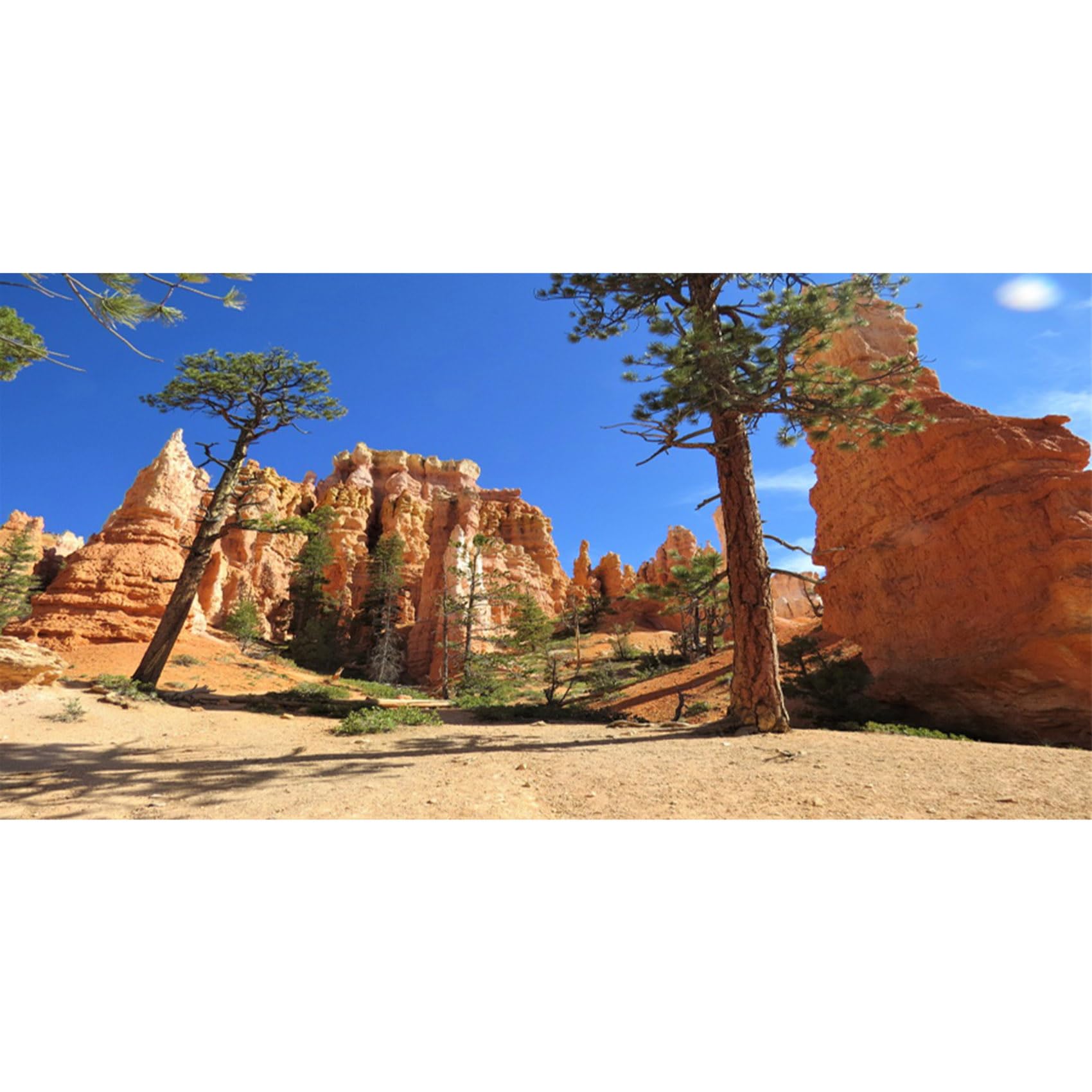 MIRRORANG 120x50cm Desert Terrarium Background Mountain Sun Sky Oasis Trees Reptile Habitat Background Fish Tank Aquarium Background