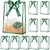 Aliceset 12 Pcs Clear Plastic Gift Bag with Die Cut Handles Reusable PP St. Patrick's Day Bag with Ribbon for Irish Wedding Bridal Birthday Baby Shower Party Small Business, 7x10x3.15 Inch(Green)